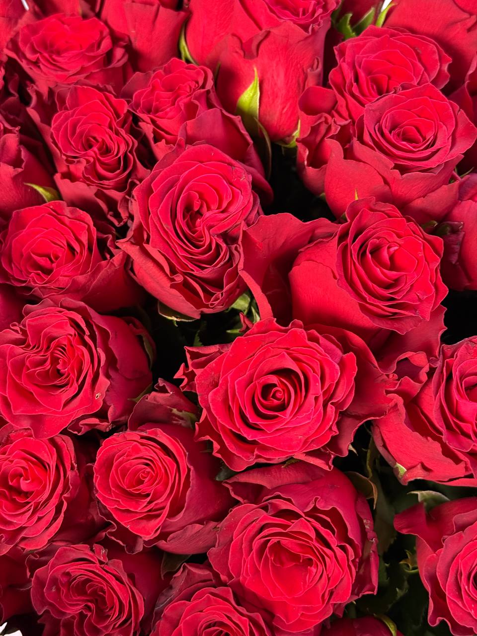 Klasikinė rožių puokštė