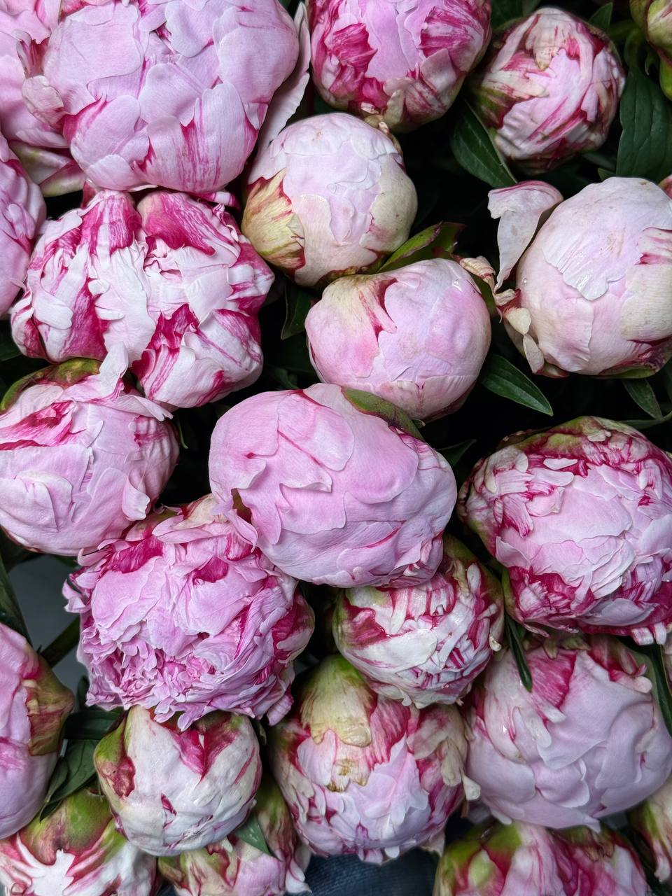 Klasikinė rožių puokštė