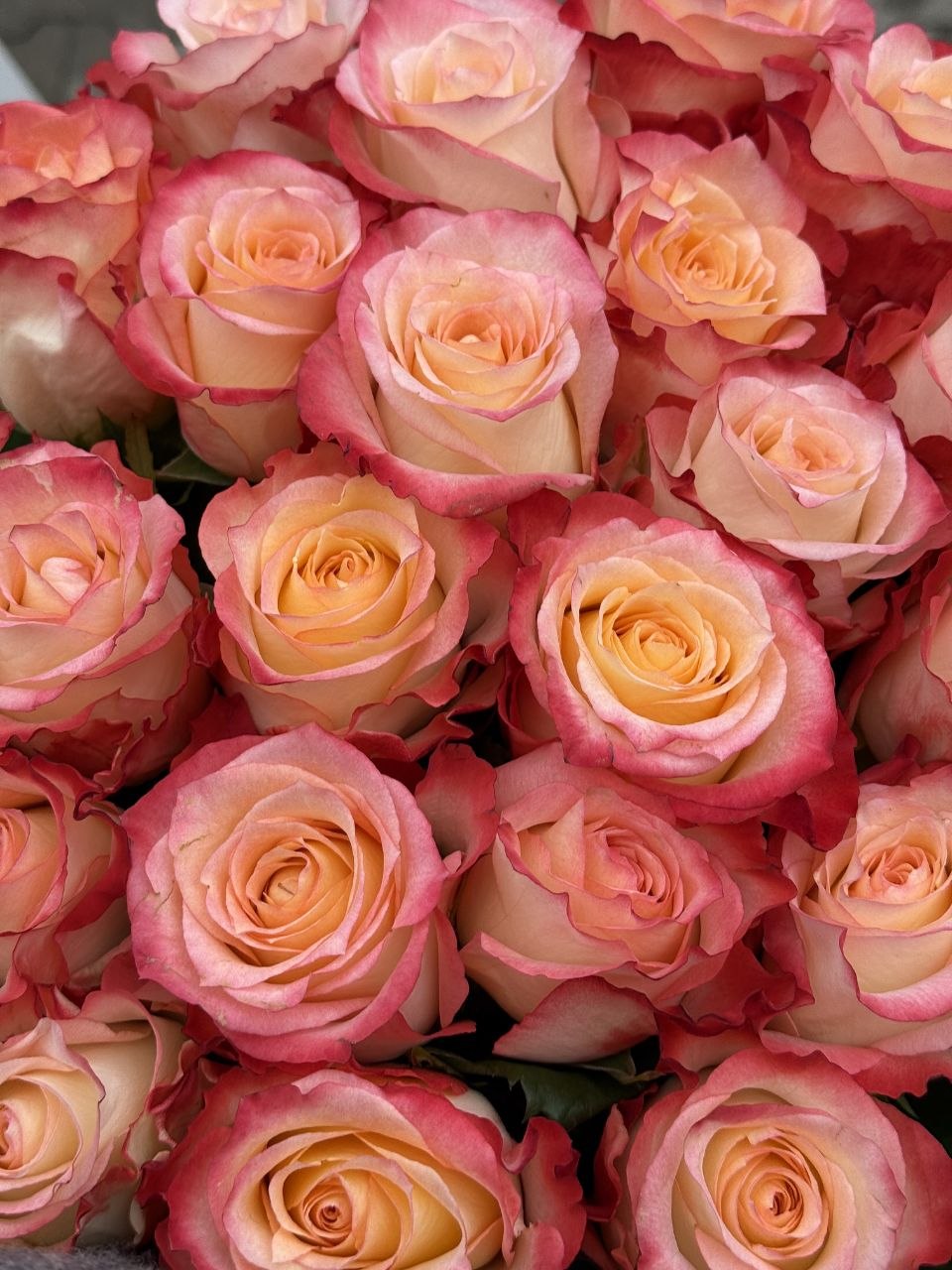 Klasikinė rožių puokštė