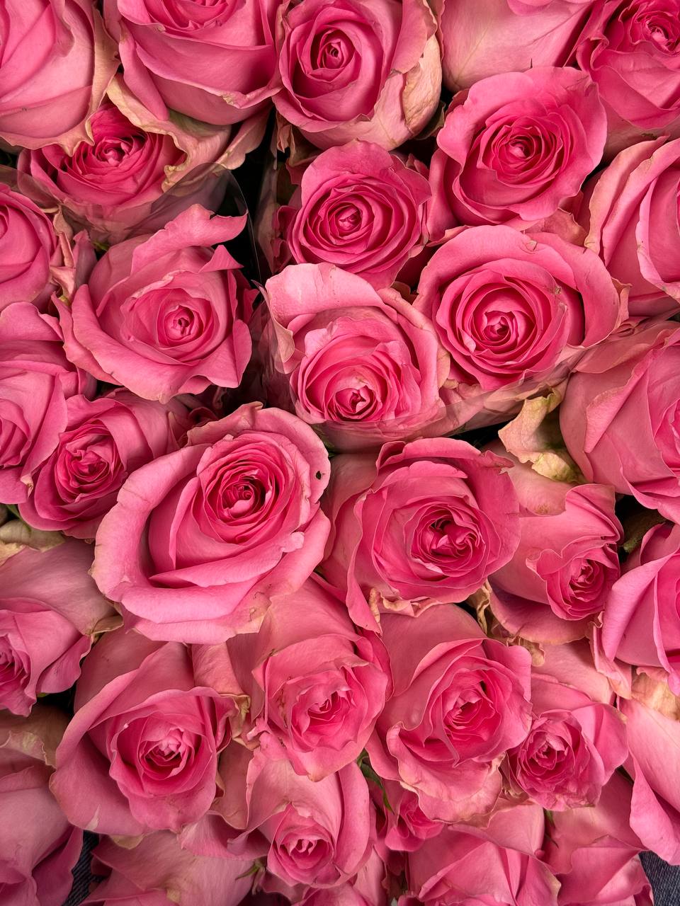 Klasikinė rožių puokštė